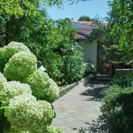 Nostro Palazzo Apartman