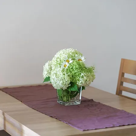 Apartment Nostro Palazzo *