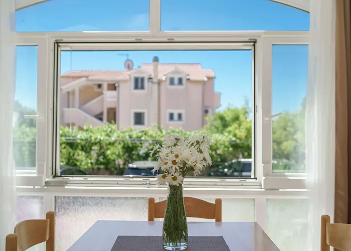 Nostro Palazzo 보디체