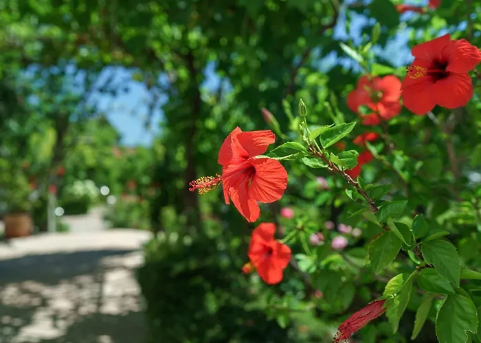 아파트 Nostro Palazzo *