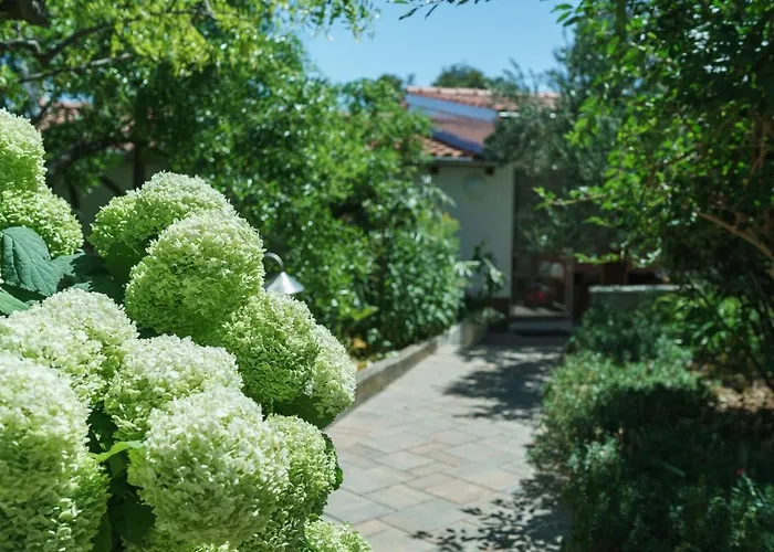 Nostro Palazzo Lägenhet