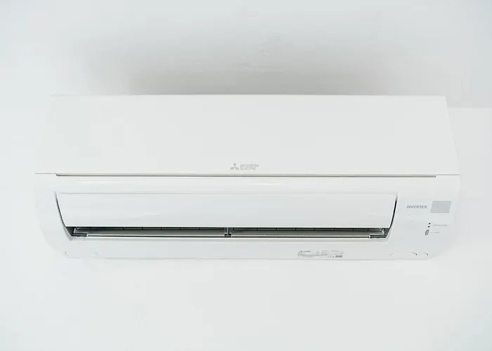 Nostro Palazzo 보디체